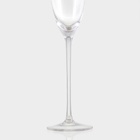 Бокал для шампанского «Орион», 300 мл, 7×27.5 см, стекло, с золотой отводкой, прозрачный - Фото 3