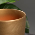 Горшок для цветов «Амелия», 4.7 л, d=21.5 см, h=19.5 см, керамический, с поддоном, золотистый - Фото 2