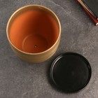 Горшок для цветов «Амелия», 4.7 л, d=21.5 см, h=19.5 см, керамический, с поддоном, золотистый - Фото 3