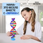 Набор для опытов «Молекула ДНК» - фото 6798585