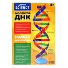 Набор для опытов «Молекула ДНК» - Фото 7