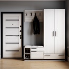 Шкаф двухстворчатый для одежды «Модена МШ - 30», 850×400×2100 мм, цвет ясень анкор светлый/венге 9471238