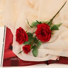 Цветы искусственные "Роза шарм" 8х58 см, красный - фото 319902857