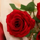 Цветы искусственные "Роза шарм" 8х58 см, красный - Фото 2