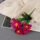 Букет искусственный «Хризантема Анабелла», 7×30 см, МИКС - Фото 1