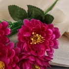 Букет искусственный «Хризантема Анабелла», 7×30 см, МИКС - Фото 2