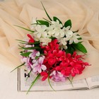 Букет искусственный «Бальзамин Импреза», 5×28 см, МИКС 9229338