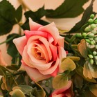 Букет "Роза Аврора" 5х26 см, микс - Фото 2