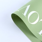 Плёнка для цветов упаковочная двухсторонняя «Love you», оливковый, 56 х 56 см (комплект 10 шт) - фото 23229650