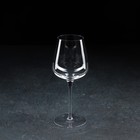 Бокал из стекла для вина Magistro «Анси», 420 мл, 21,1×6 см - фото 301446811