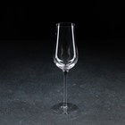 Бокал из стекла для вина Magistro «Анси», 250 мл, 23,3×4,8 см - фото 319247224