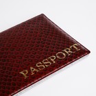 Обложка для паспорта, цвет красный (комплект 2 шт) - фото 23178814