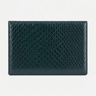 Обложка для паспорта, цвет зелёный (комплект 2 шт) - фото 24533871