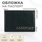 Обложка для паспорта, цвет зелёный - фото 321441740