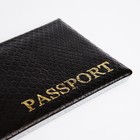 Обложка для паспорта, цвет коричневый (комплект 2 шт) - фото 24533880