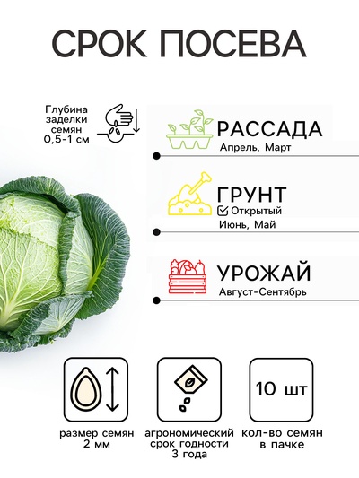 Семена Капуста белокочанная «Мегатон», F1, 10 шт., «Уральский дачник»