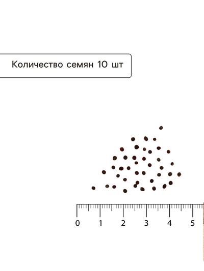 Семена Капуста белокочанная «Мегатон», F1, 10 шт., «Уральский дачник»