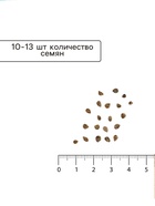 Семена Томат "Санька", б/п, детерминантный, 0,1 г - Фото 4