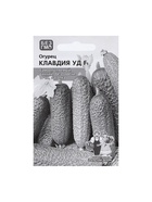 Семена Огурец "Клавдия", F1, 8 шт - Фото 5