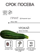 Семена Кабачок «Кустовой», 10 шт., «Уральский Дачник» - Фото 2