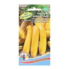 Семена Кабачок «Ананасный», 10 шт., «Уральский Дачник» - Фото 1