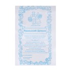 Семена Кабачок "Зебра", цуккини, б/п, 2 г - Фото 1