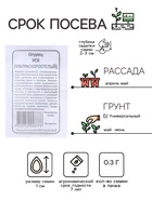 Семена огурец «Ультраскороспелый», 0.3 г - Фото 2