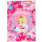Подарочная коробка, складная «Поздравляю»,16х23х7.5 см, Принцессы - фото 35002072