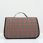 Сумка - переноска для животных «Карпетбеггер», 40.5×24×24 см, клетчатая - Фото 2