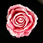 Фигурное мыло "Роза" красная с белым, 67гр - Фото 2