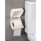 Держатель для туалетной бумаги Regular, 15,5×12,2×13,5 см, цвет белое облако - фото 6799999