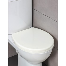

Сиденье для унитаза с крышкой Regular, 41,9×36,3 см, цвет белое облако