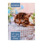 Блокнот А6, 64 листа в клетку "Соня", твёрдая обложка, глянцевая ламинация, блок офсет - Фото 1