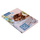 Блокнот А6, 64 листа в клетку "Соня", твёрдая обложка, глянцевая ламинация, блок офсет - Фото 2