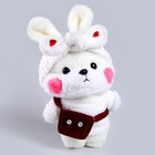 Мягкая игрушка «Зайка» (без очков) 9494225 - фото 13698518