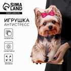 Игрушка антистресс, собака «Йорк» - Фото 1