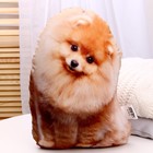 Игрушка антистресс, собака «Шпиц» - Фото 2