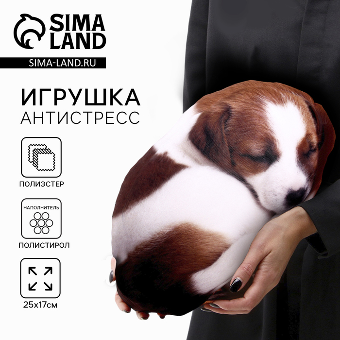 

Игрушка антистресс, собака «Малыш Джек-рассел»