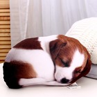 Игрушка антистресс, собака «Малыш Джек-рассел» - Фото 2