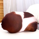 Игрушка антистресс, собака «Малыш Джек-рассел» - Фото 3