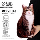 Игрушка антистресс, кот «Васька» - Фото 1