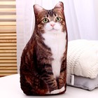 Игрушка антистресс, кот «Васька» - Фото 3