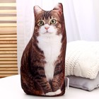 Игрушка антистресс, кот «Васька» - Фото 4