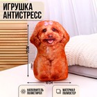 Игрушка антистресс «Пудель» 9361267 - фото 10228025