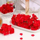Цветы сакуры мыльные красные, набор 50 шт - Фото 2