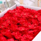 Цветы сакуры мыльные красные, набор 50 шт - Фото 3