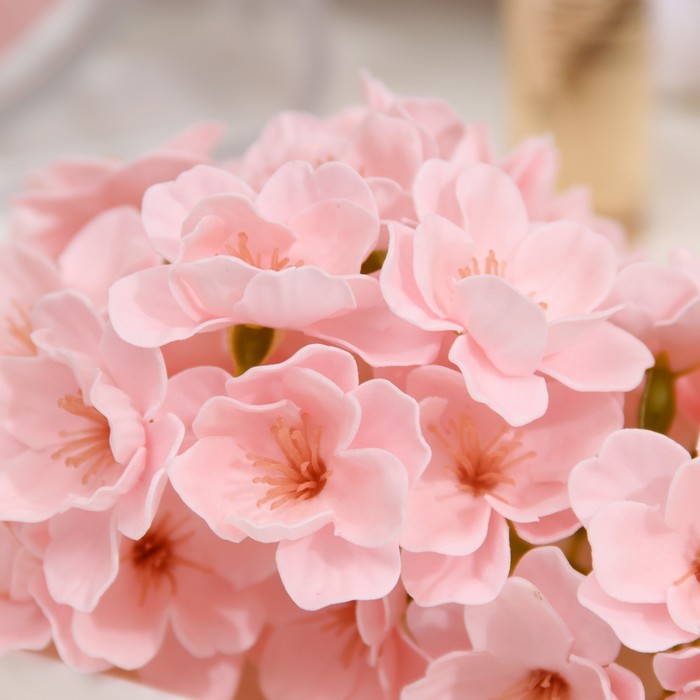 Цветы сакуры мыльные розовые, набор 50 шт - фото 1906173605