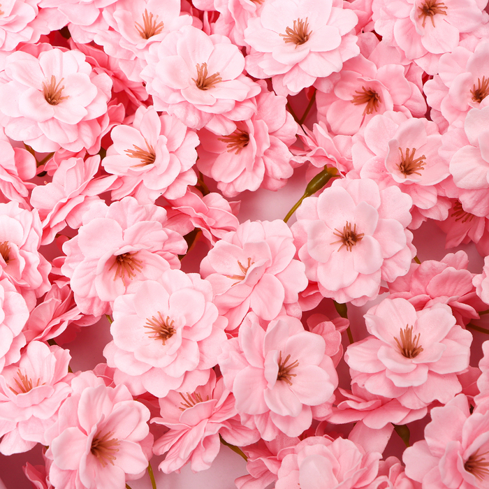 Цветы сакуры мыльные розовые, набор 50 шт - фото 1906173608