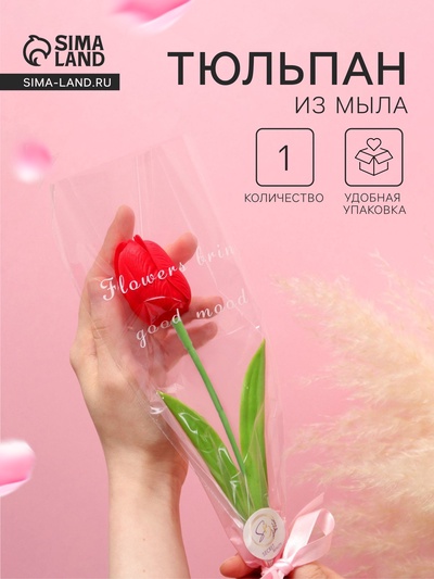 Мыльный тюльпан, красный