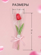 Мыльный тюльпан, красный - Фото 2